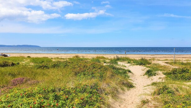 En strandpromenad som leder ner till havet, med en klar himmel.