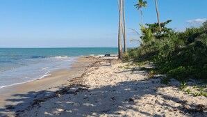 A beach with palm trees and a clear blue sky. - Chalés Guigó (Prado)