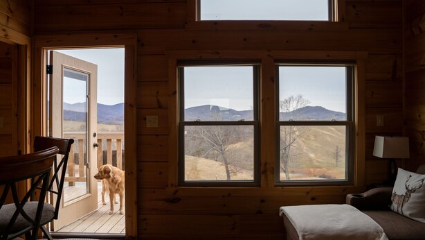 A wooden cabin interior with a dog on the porch, a couch, and a view of mountains through large windows.