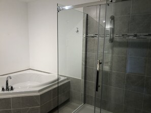 Bathtub, hair dryer, soap, toilet paper