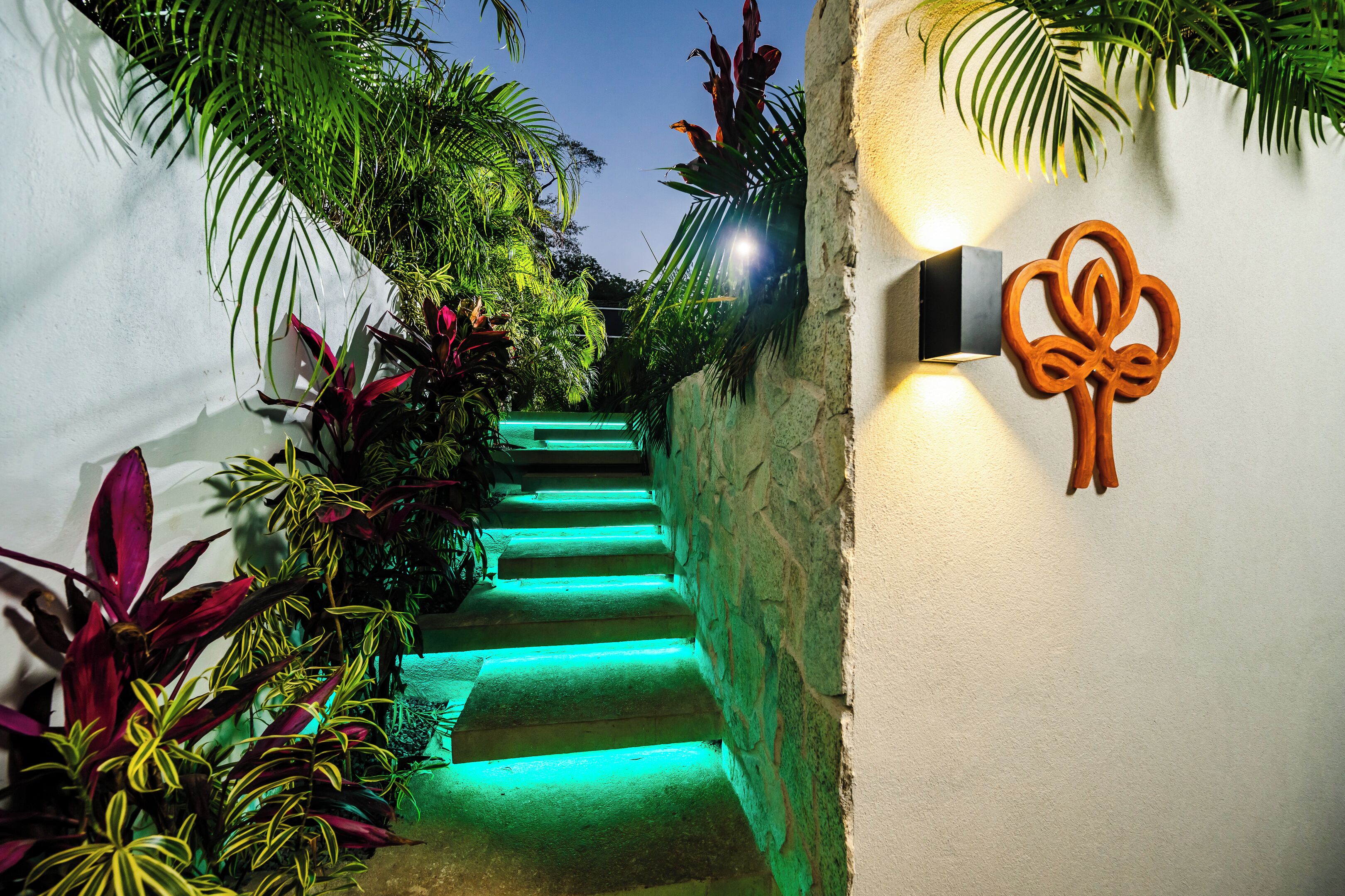A staircase with green lighting, surrounded by lush tropical plants.