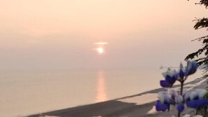 A natural landscape with purple flowers and a sunset over a body of water. - Beach/Kenai Center 5 minutes (Kenai)