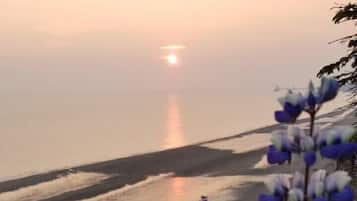 靠近海滩