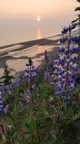 Beach/Kenai Center 5 minutes