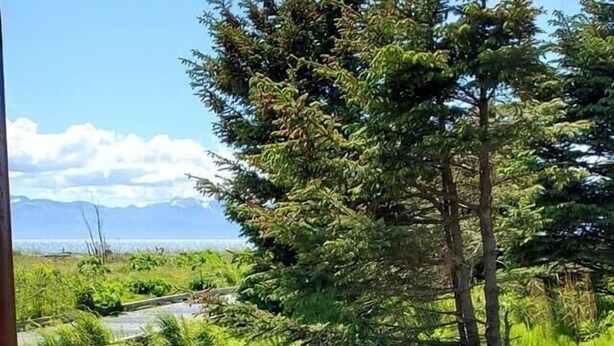 A grill with several burgers cooking outdoors, surrounded by a grassy landscape and trees. - Beach/Kenai Center 5 minutes (Kenai)