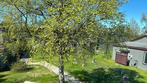 A residential area with a tree-lined pathway, a bench, and a small shed. - Beach/Kenai Center 5 minutes (Kenai)