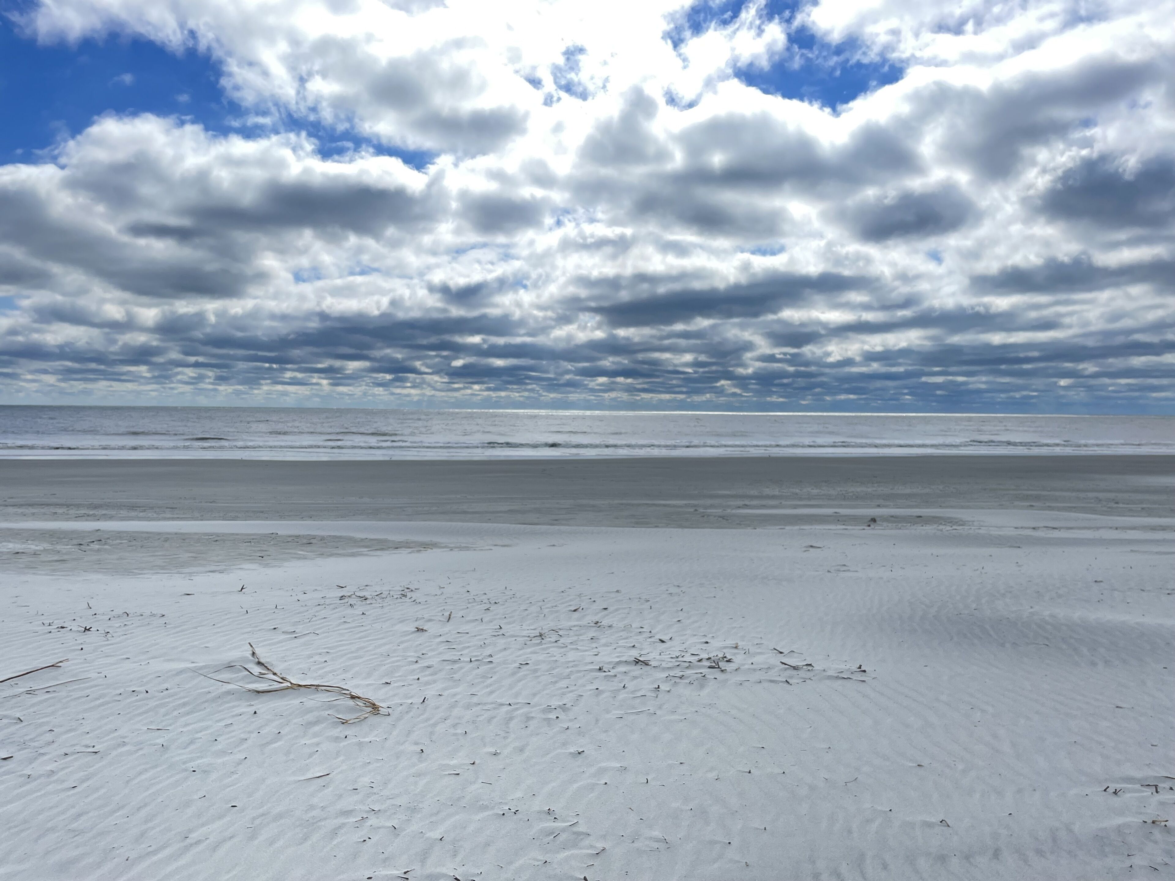 Plage à proximité, chaises longues, serviettes de plage