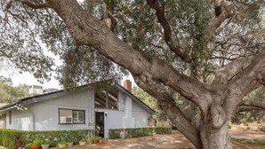 A house with a large tree in front, a pathway leading to the entrance, and a small garden with potted plants. - Secluded wine country retreat,  full kitchen (Arroyo Grande)