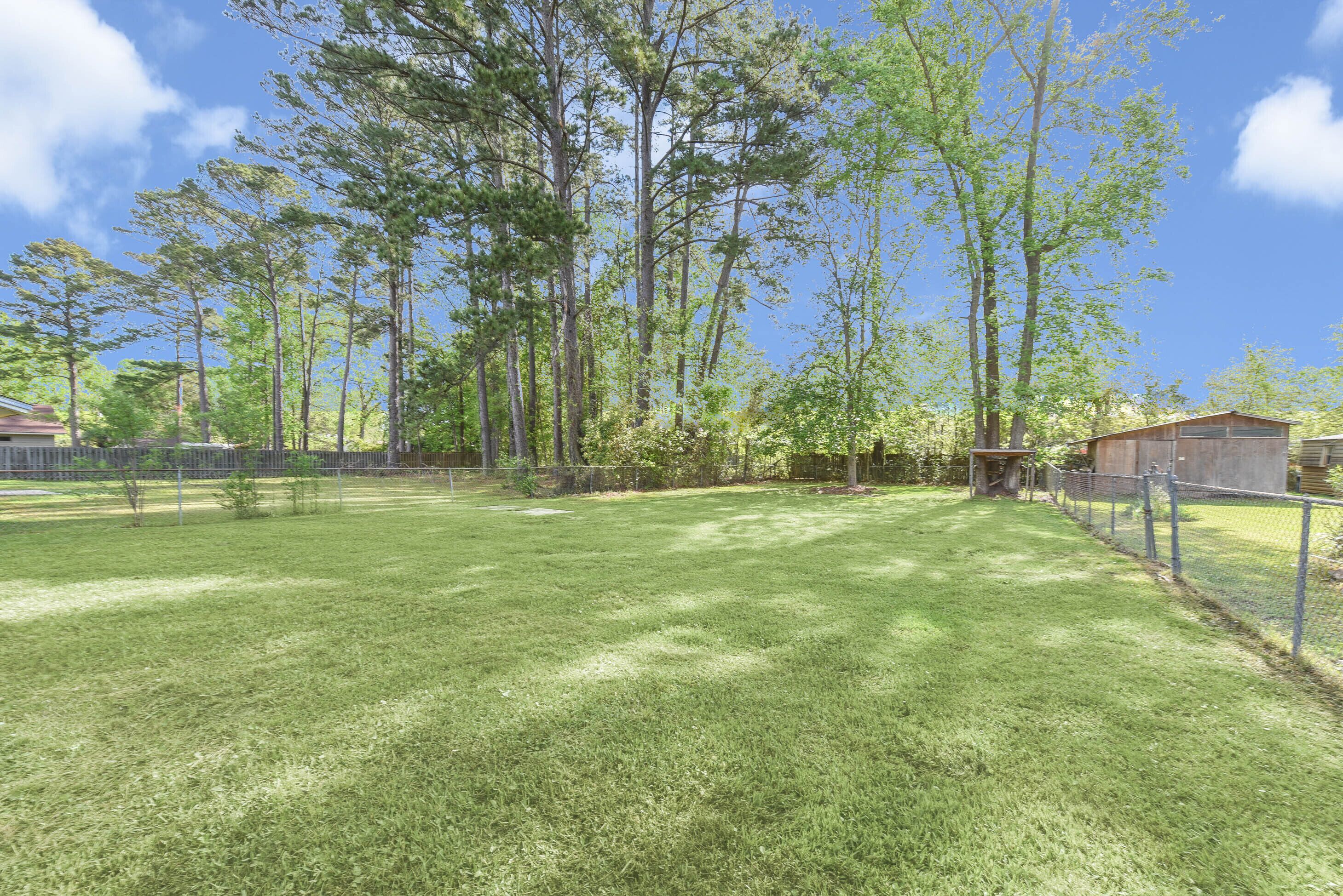 A grassy yard with tall trees and a fenced area.