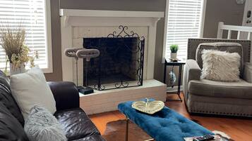 Smart TV, fireplace, books