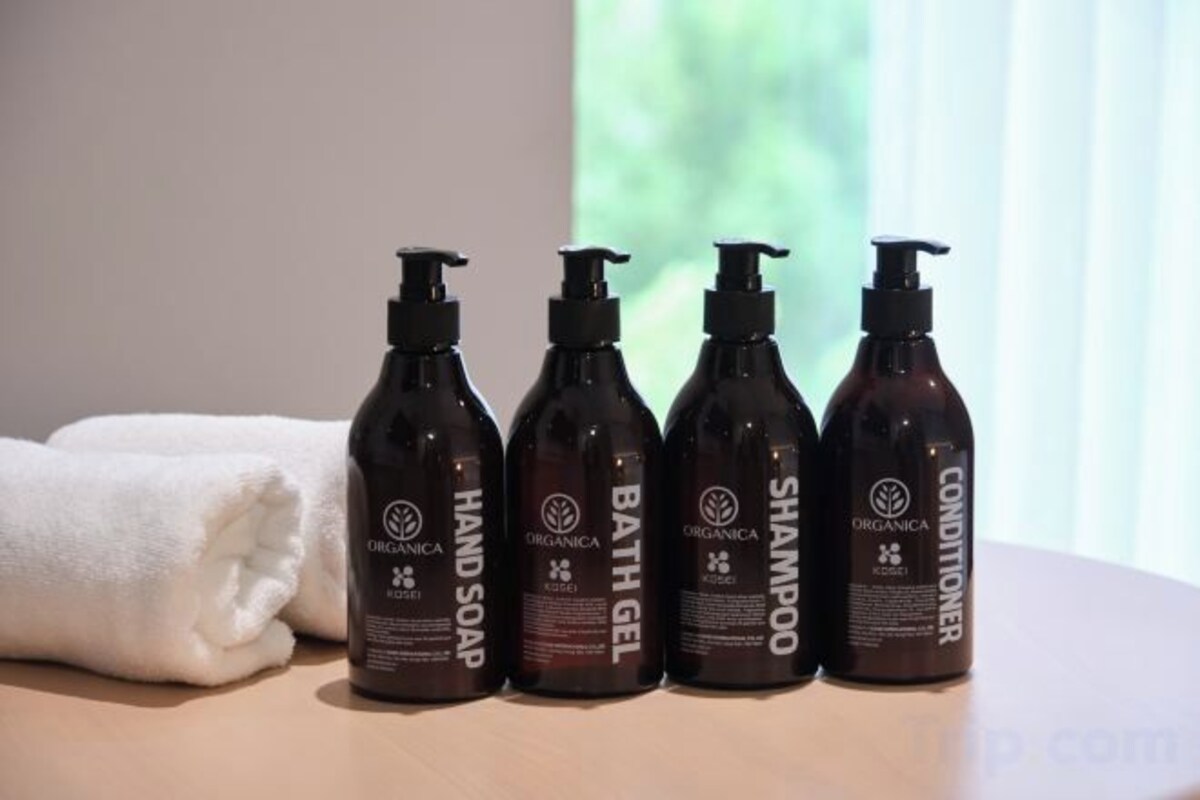 Hydromassage showerhead, free toiletries, hair dryer, slippers