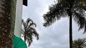 Eine gepflasterte Terrasse mit einem grünen Sonnenschirm, Palmen und einem Rasen.