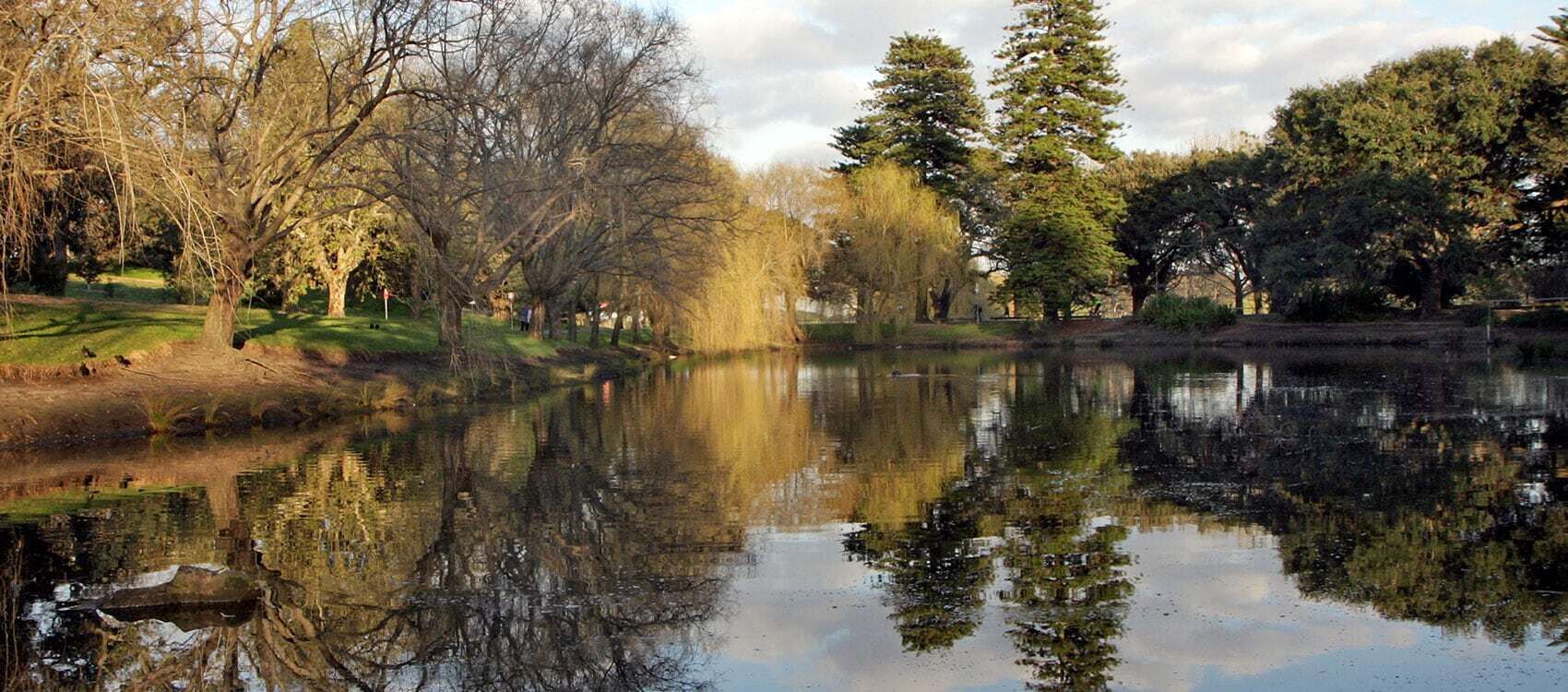 Large SunnyTerrace by Queens Park& Centennial Park — image 3