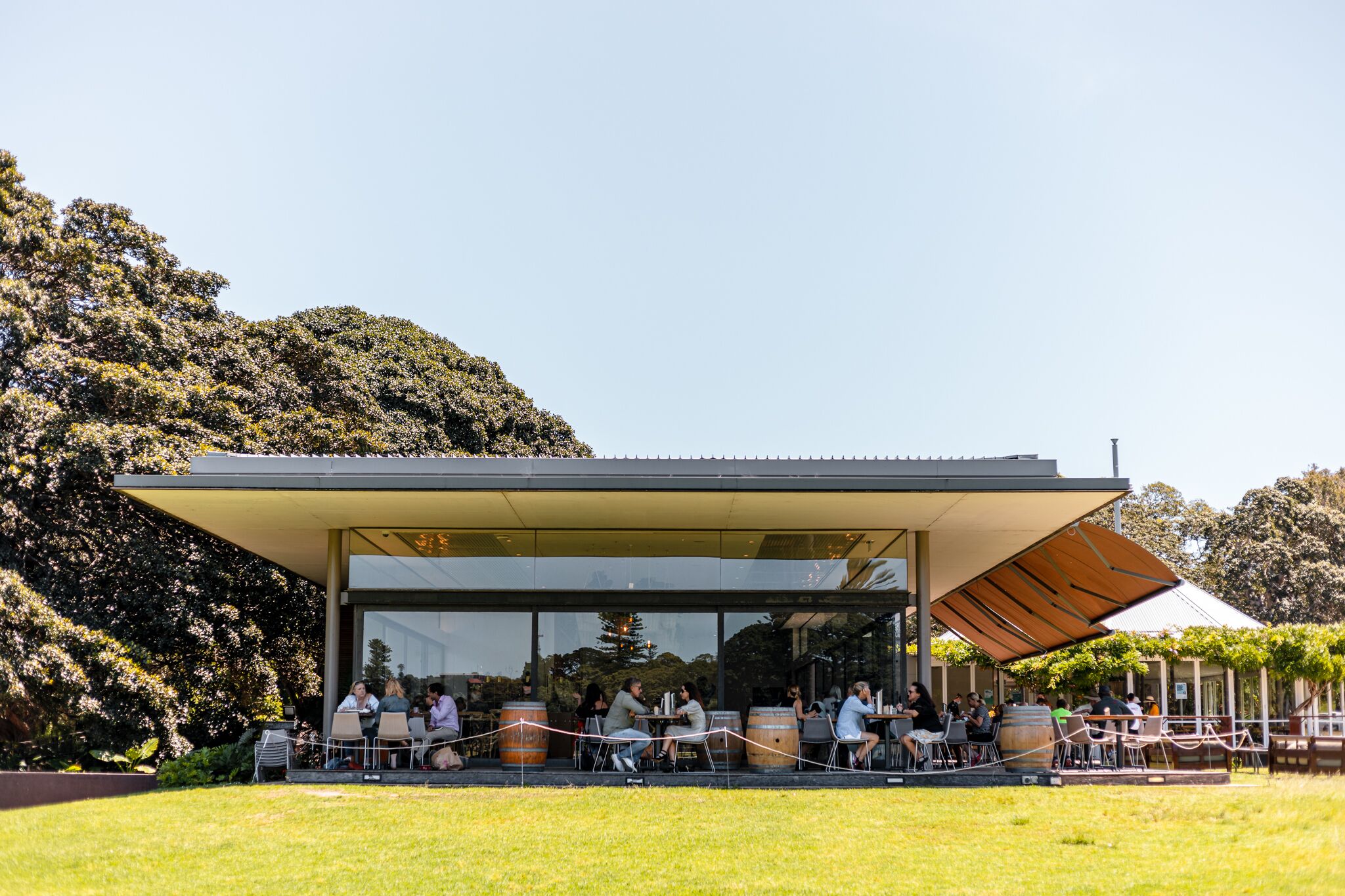 Large SunnyTerrace by Queens Park& Centennial Park — image 14