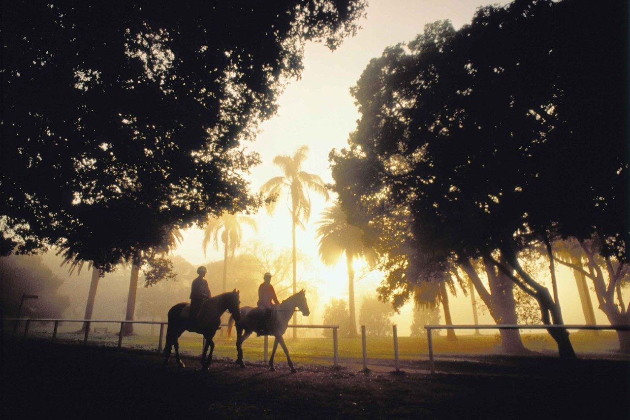 Large SunnyTerrace by Queens Park& Centennial Park — image 5
