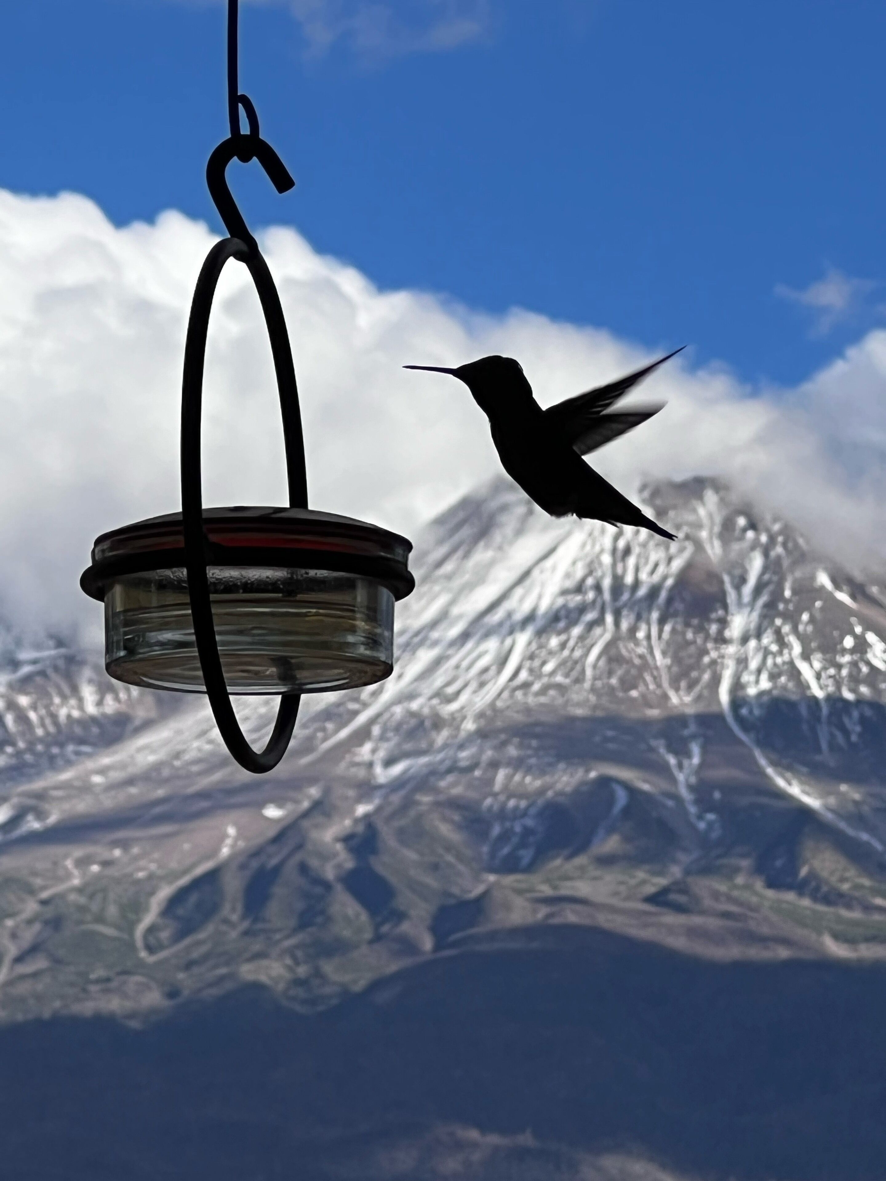 Base of Mt. Shasta Serenity Wonderland 