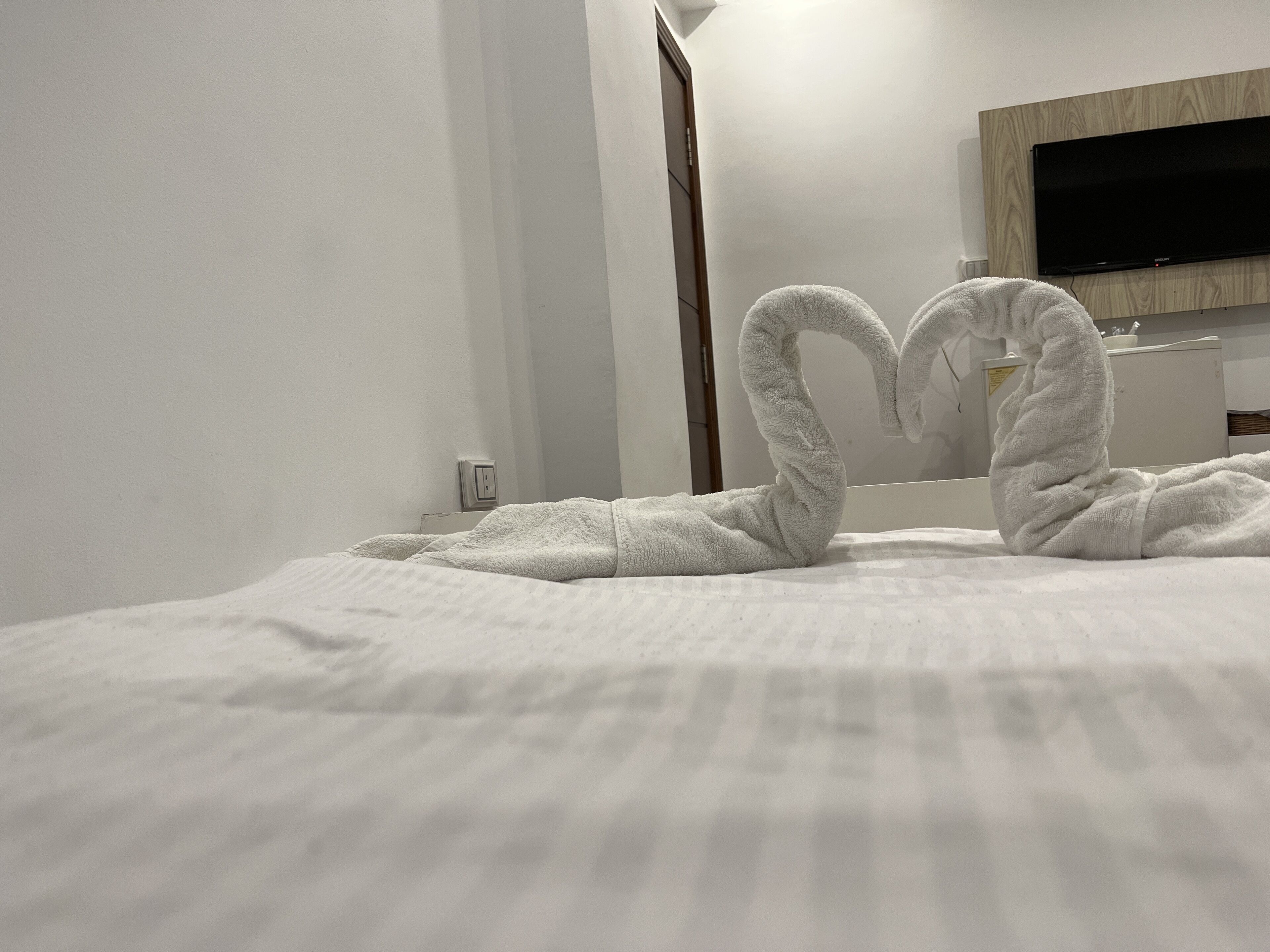 Foto - Pyramids top success result