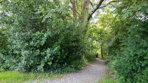 A gravel path surrounded by dense green foliage, leading into a shaded area. - Ballyroan - Peaceful Dog Friendly Cottage (Tenby)