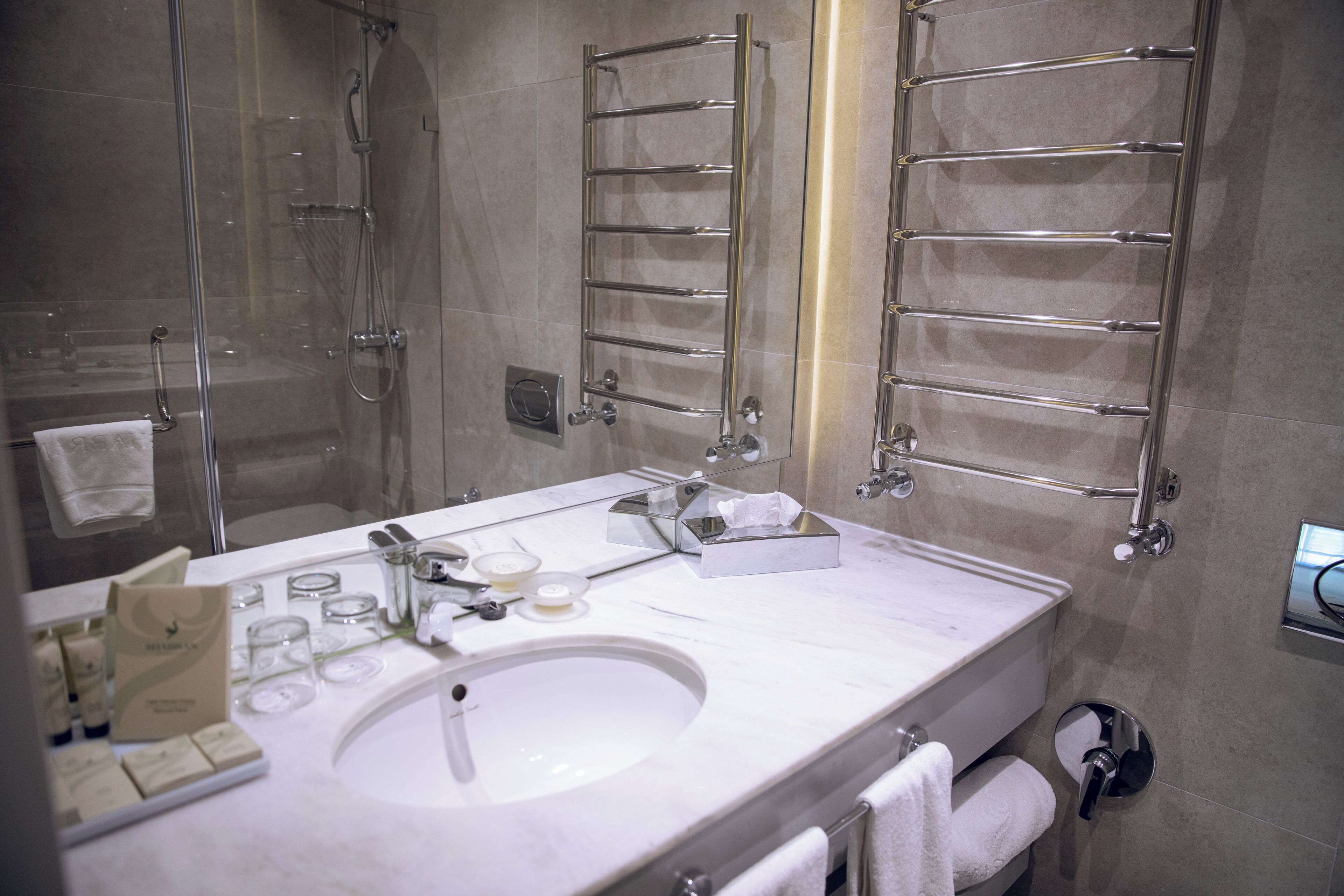 A modern bathroom with a large sink, a glass shower enclosure, and two towel racks.
