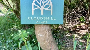 Cabin, 1 Bedroom, Balcony, Garden View | Exterior - Nuthatch Cabin at Cloudshill Glade - Campsite (Wareham)