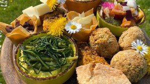 Chalet, 1 Bedroom, Accessible, Smoking | Dining - Agriturismo La Buona Terra Bio (Cervarese Santa Croce)