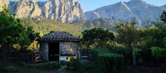 1st Private Room on the Ground Floor With use of the Swimming Pool and Shared Services