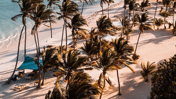 A beach with palm trees and a clear sky. - "srvittinivillas Lmvll7/big Espacius View, Event Priv/ Villa  Resort" (La Romana)