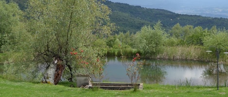 Apartment, 1 Bedroom, Garden View | Fishing