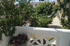 Studio, 1 Bedroom, Balcony | Balcony