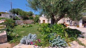 Property grounds - Poggio Fiorito House (Locorotondo)