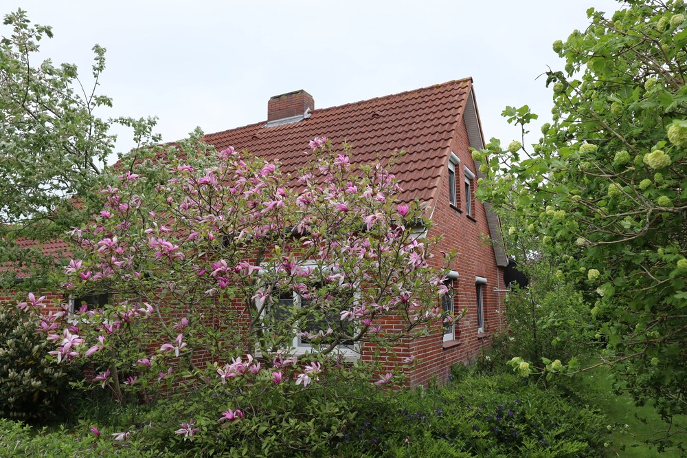 Haus Flieder