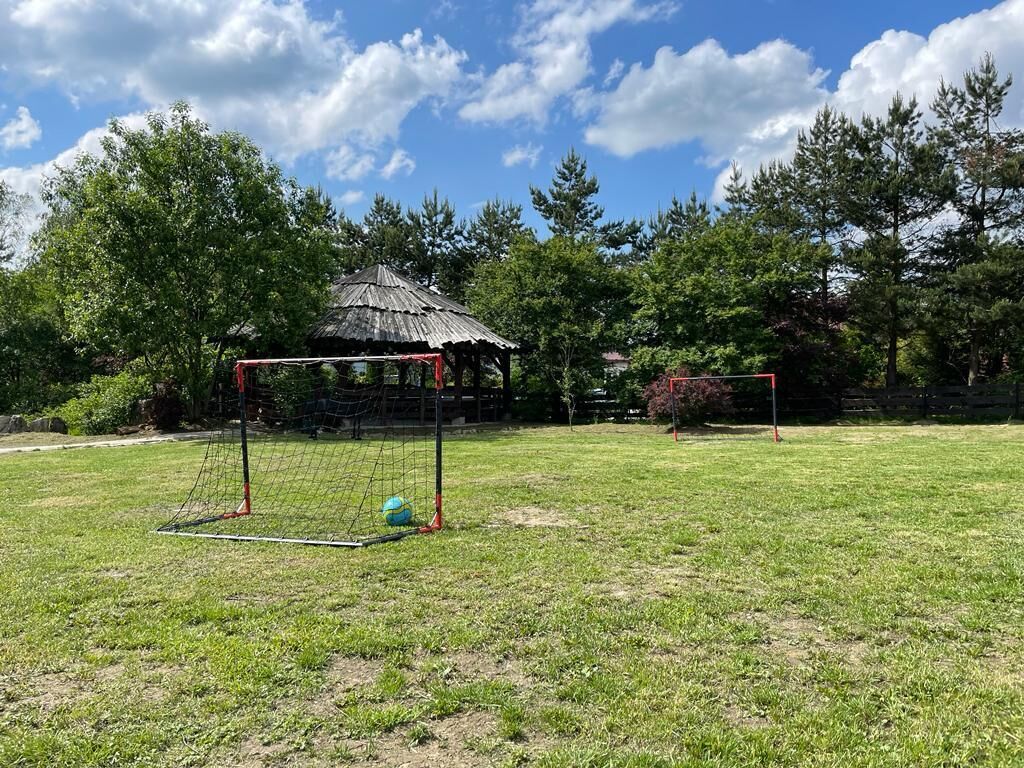 Un terrain herbeux avec un but de football et un petit abri.