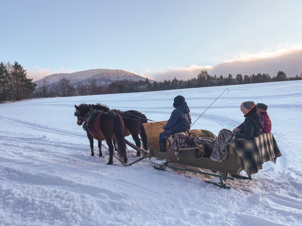 Un trineo tirado por caballos en un paisaje nevado con montañas al fondo.