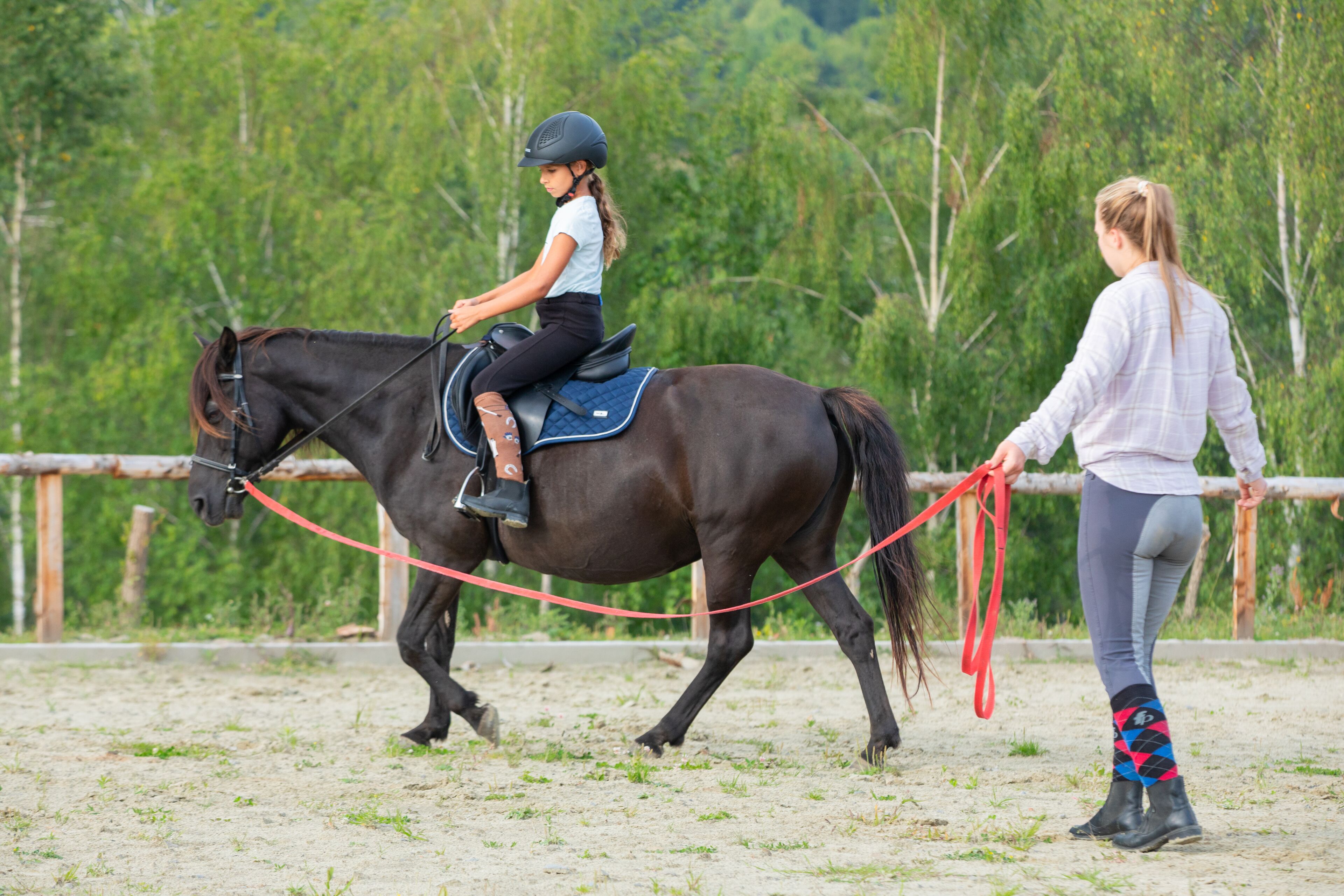 Una persona cavalca un cavallo in un'arena all'aperto, con una recinzione e alberi sullo sfondo.