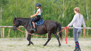 Una persona cavalca un cavallo in un'arena all'aperto, con una recinzione e alberi sullo sfondo.