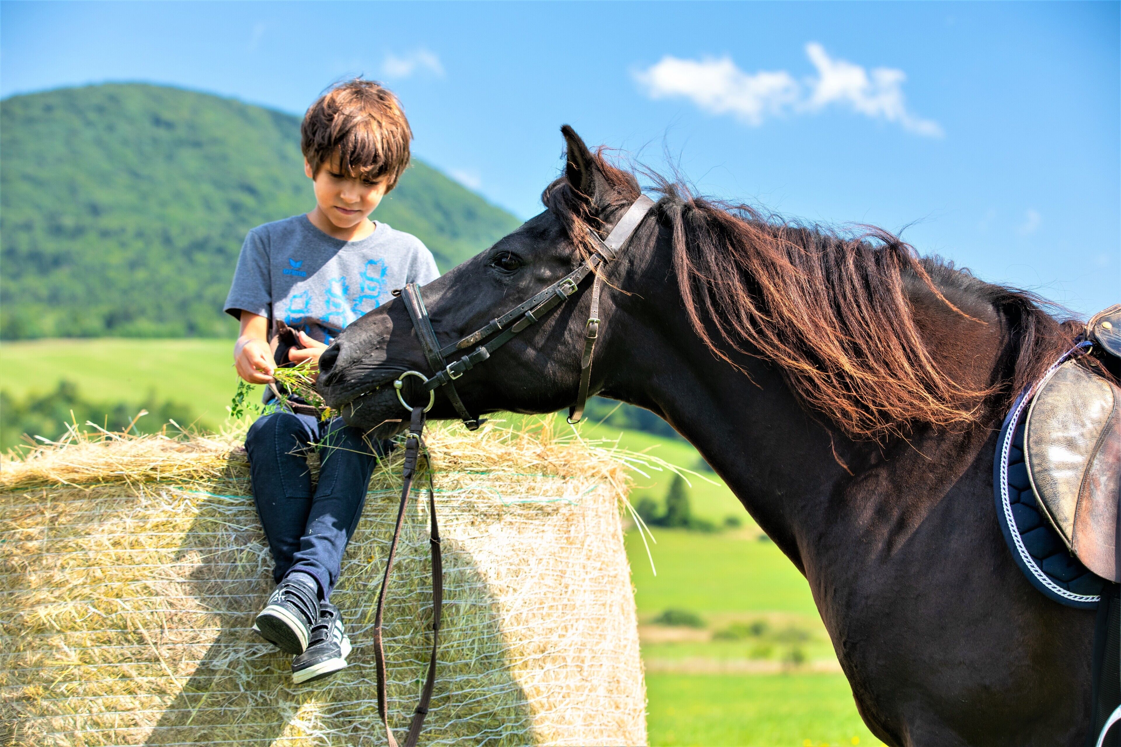 A person sitting on a hay bale with a horse.