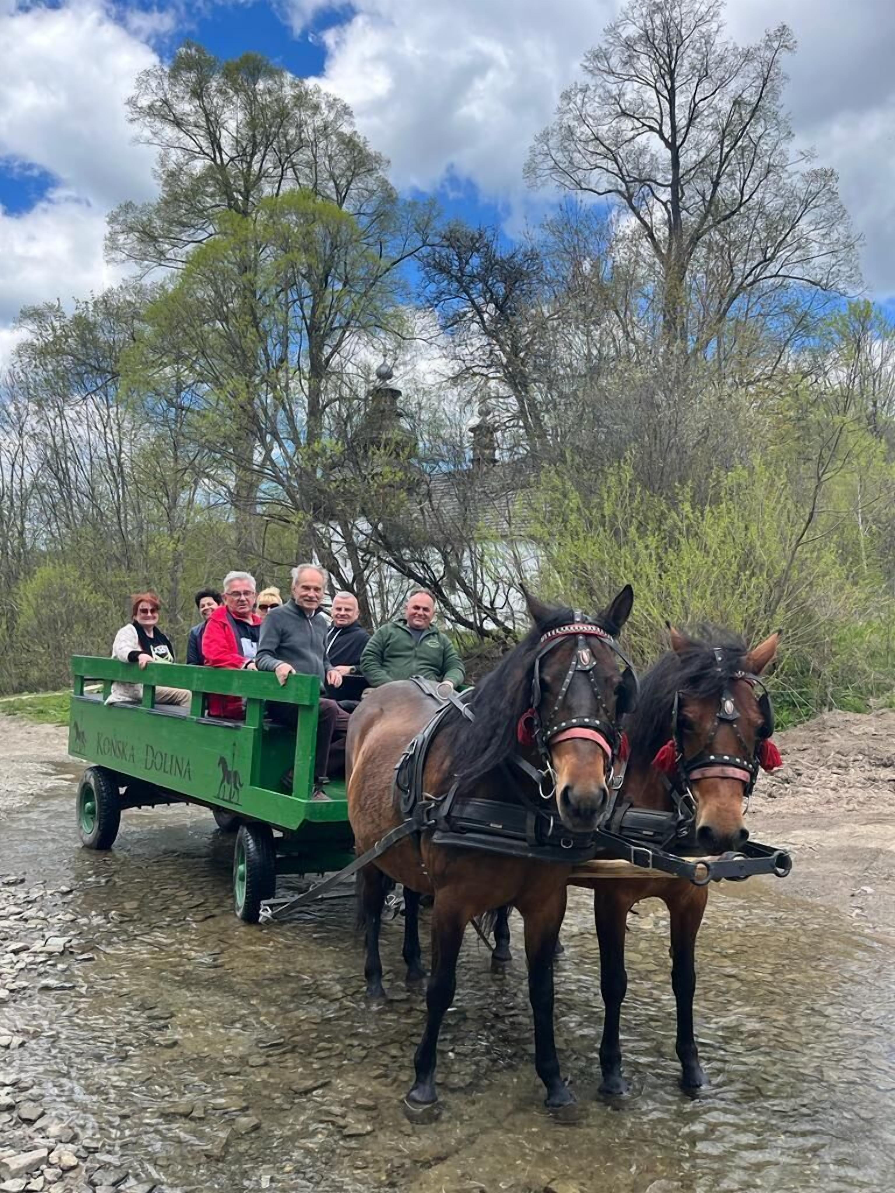 A green horse-drawn carriage with passengers, horses, and a rocky path.