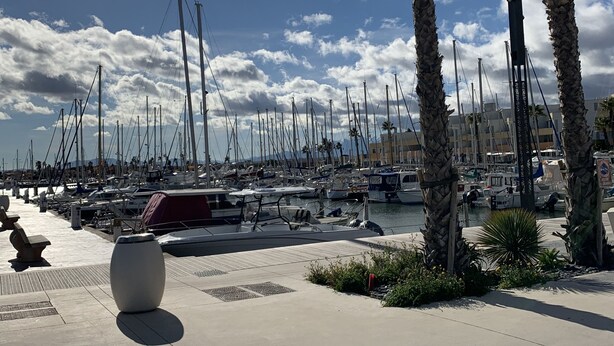 Ein Yachthafen mit vertäuten Booten, Palmen und blauem Himmel.