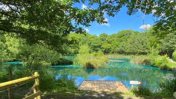 A natural pool surrounded by dense greenery and a wooden deck. - Converted French bus With Stunning Views (Beaworthy)