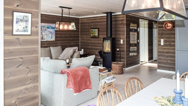 A cozy living room with a sofa, a table, and a fireplace. - 4 bedroom pet friendly home in Eggedal (Eggedal)