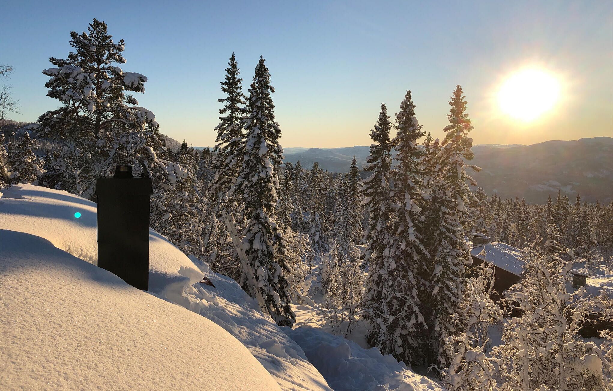 A snowy landscape with evergreen trees and a clear sky.