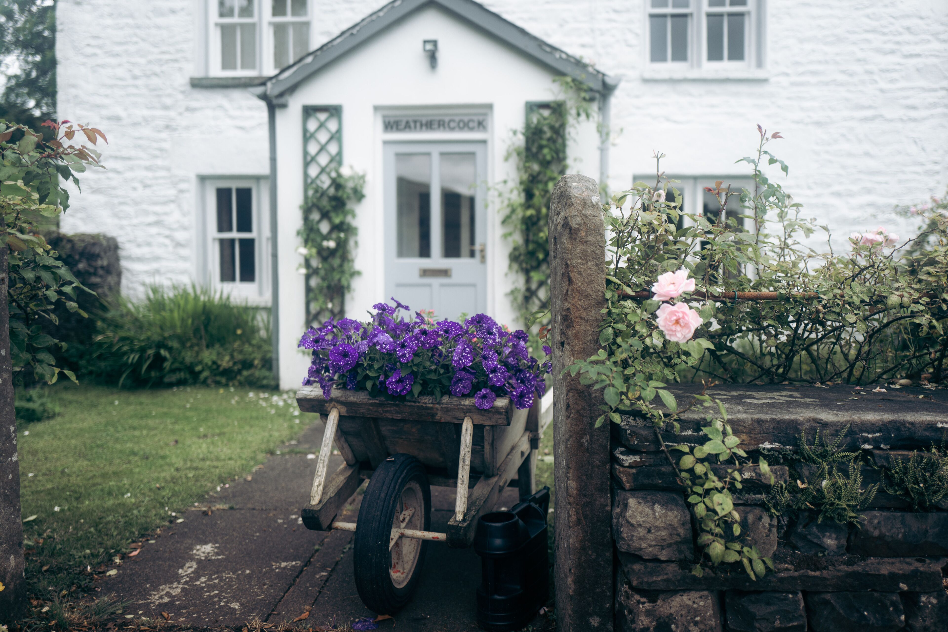 A white building with a sign reading "WEATHERCOCK" and a wheelbarrow filled with purple flowers in front.