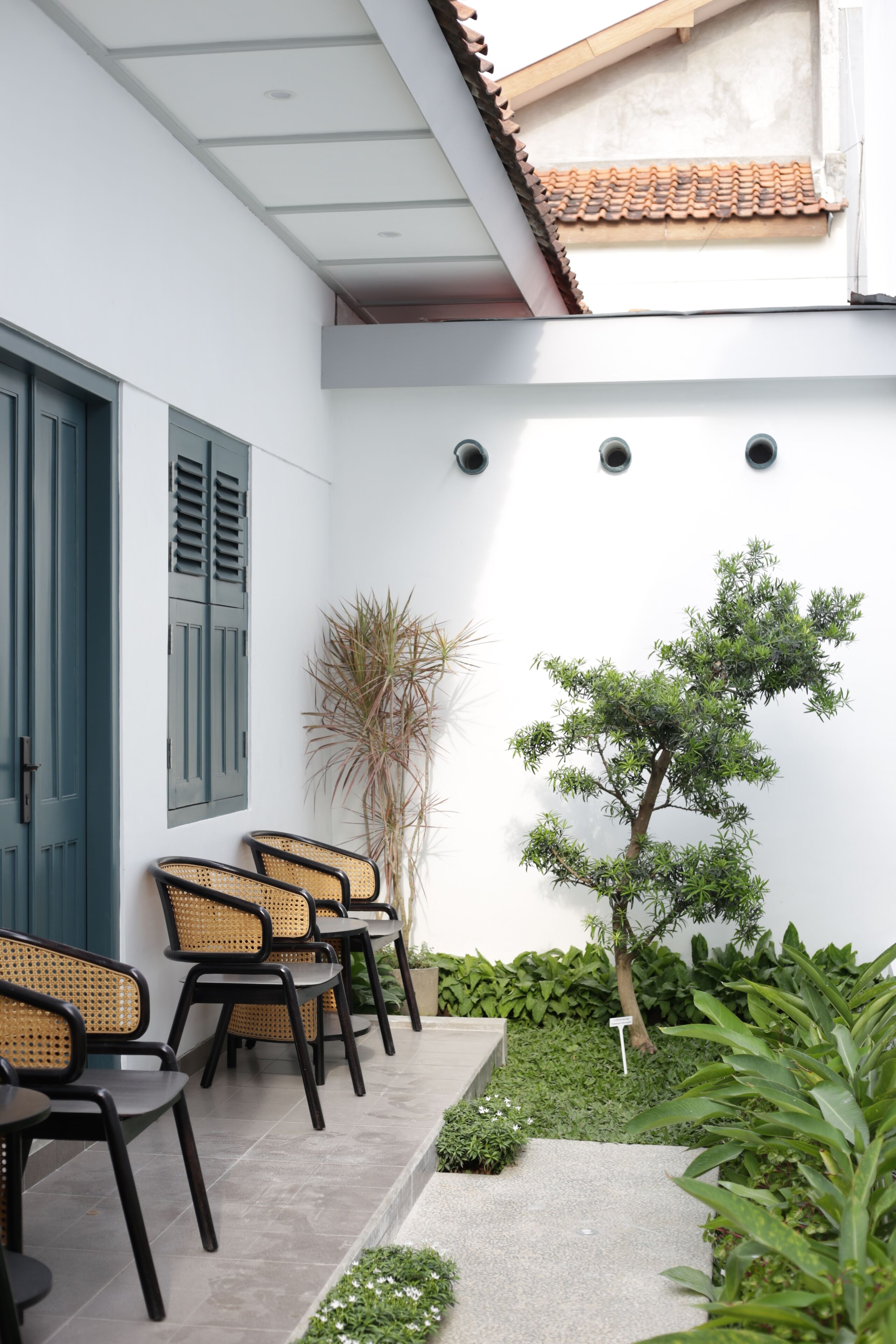 A modern outdoor seating area with rattan chairs and a small tree.