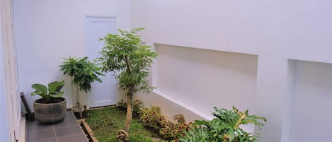 A narrow, tiled pathway leading to a white door, surrounded by various potted plants and small garden beds.