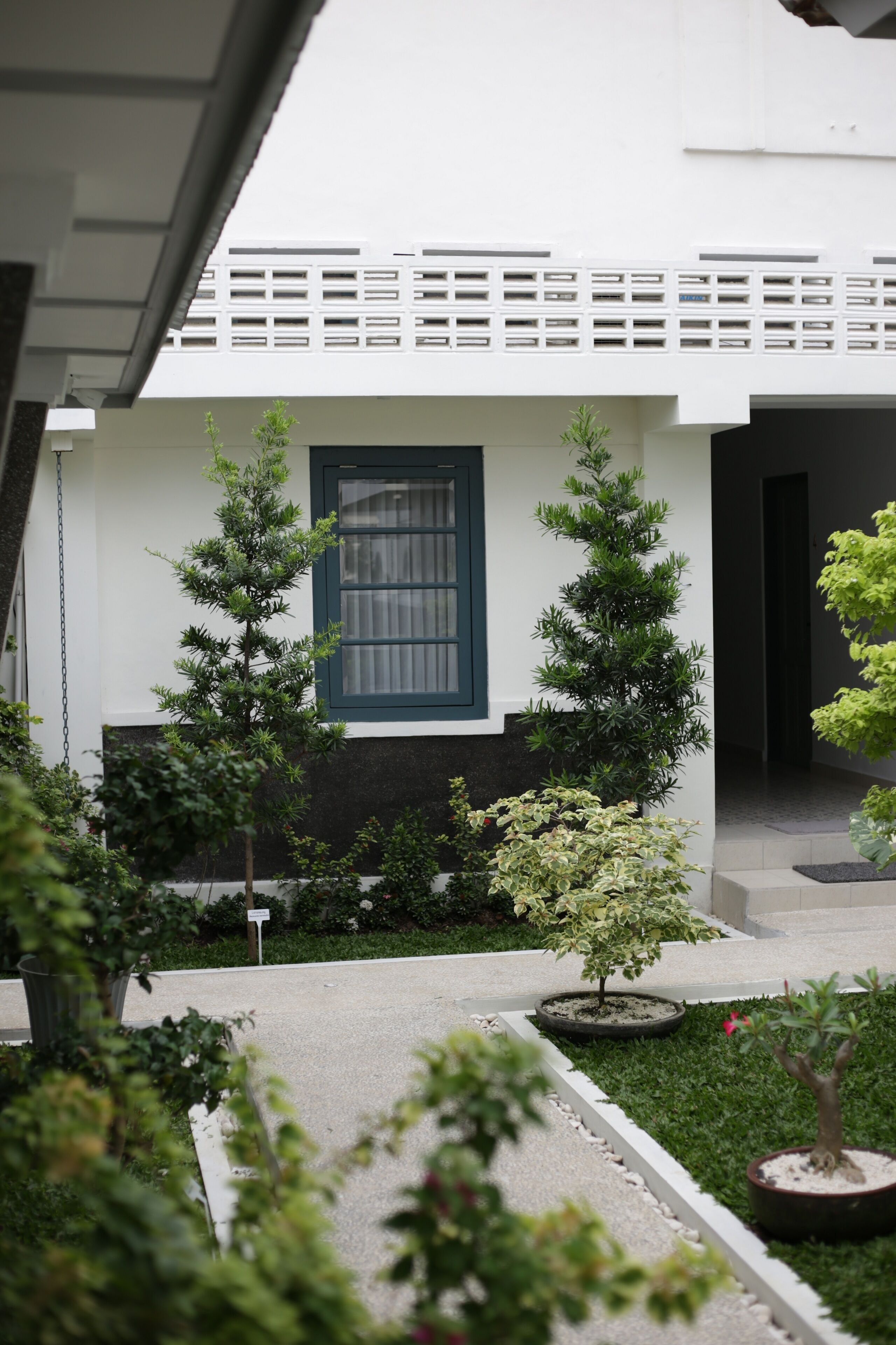 A modern building with a white exterior, a window with dark trim, and a small garden area with various plants and a pathway.