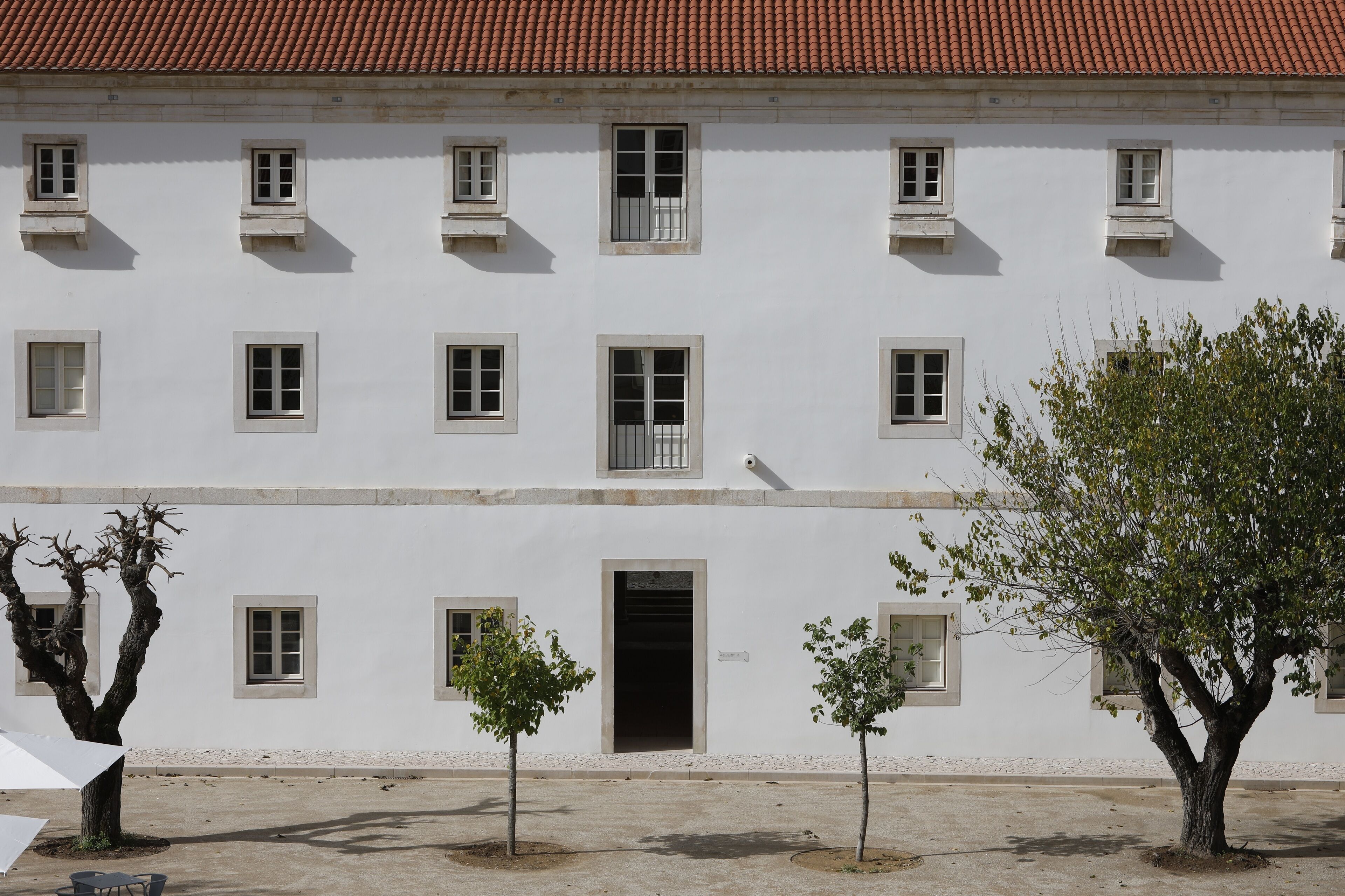 Un edificio blanco con múltiples ventanas y una puerta, rodeado de pequeños árboles y suelo de concreto.