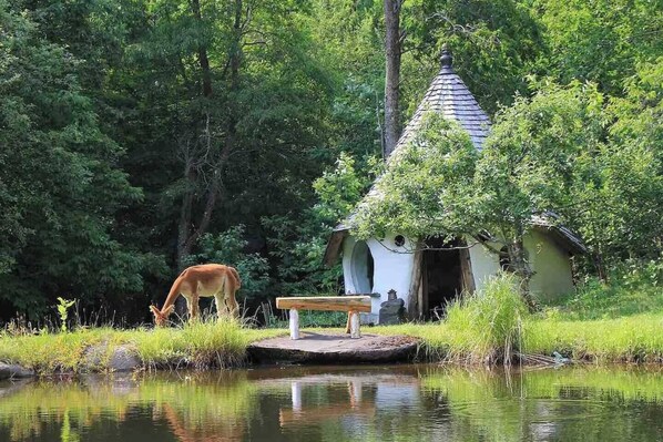 Property grounds - 100+ Acres and Renovated Barn for Retreats, Small Weddings, Large Groups (Greensboro Bend)