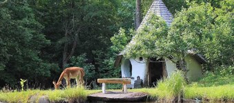 100+ Acres and Renovated Barn for Retreats, Small Weddings, Large Groups