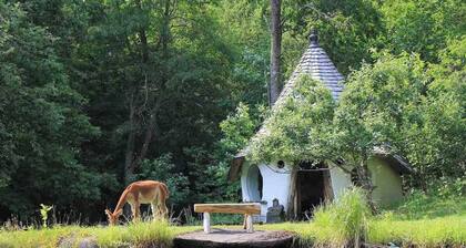 100+ Acres and Renovated Barn for Retreats, Small Weddings, Large Groups