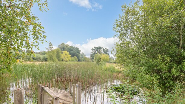 A wooden bridge over a calm body of water surrounded by lush greenery and trees. - Willow Cottage (Norwich)